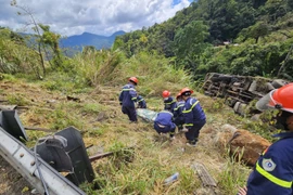 Xe tải chở máy đào lao xuống vực ở đèo Bảo Lộc