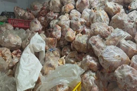 Phát hiện hơn 10 tấn gia cầm không rõ nguồn gốc tại Khánh Hòa
