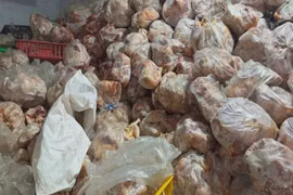 Phát hiện hơn 10 tấn gia cầm không rõ nguồn gốc tại Khánh Hòa