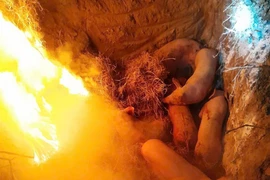 Dịch tả lợn châu Phi: 30/34 tỉnh, thành phố có dịch chưa qua 21 ngày