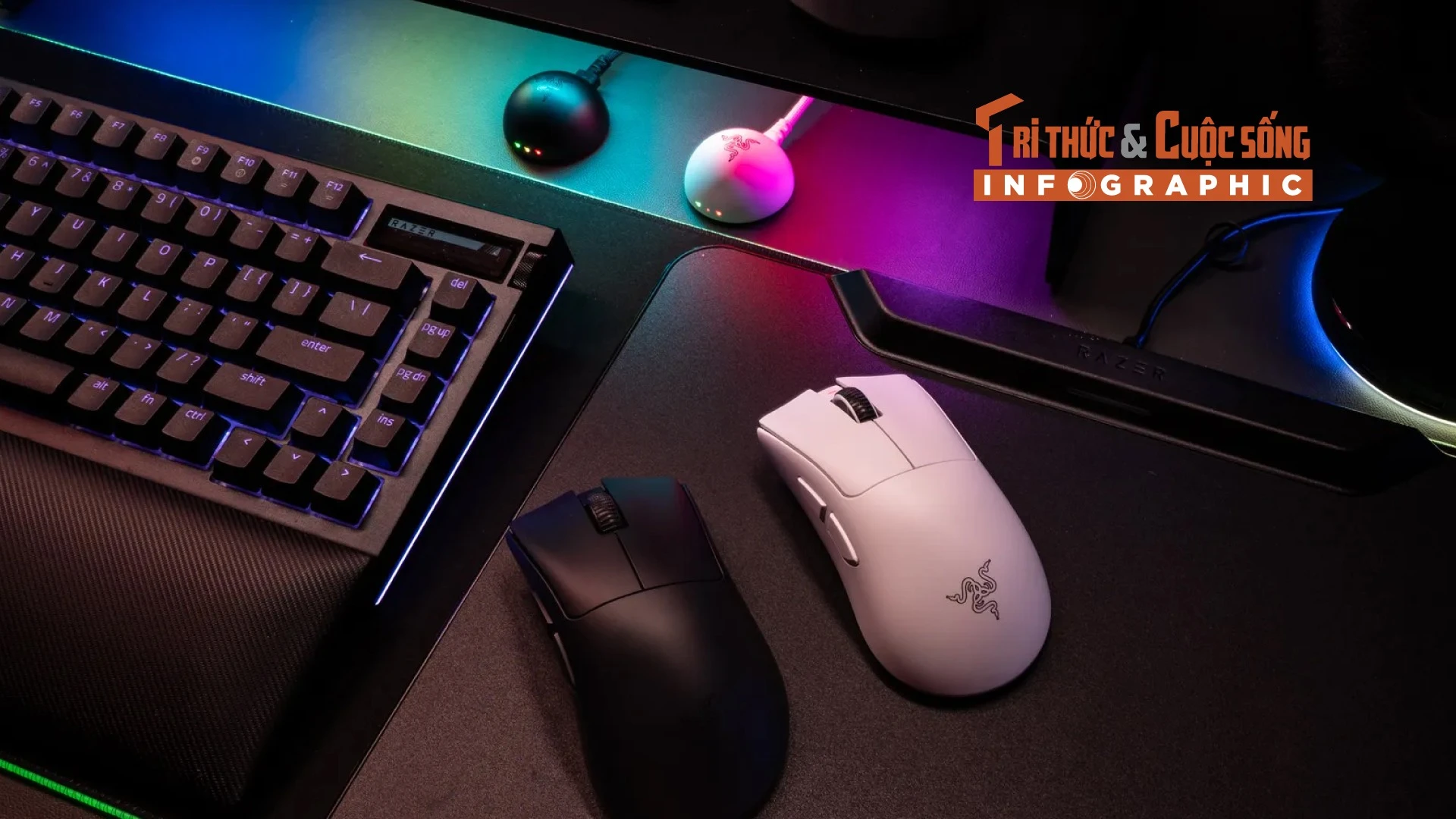 [INFOGRAPHIC] DeathAdder V4 Pro bản nâng cấp đáng gờm nhất của Razer 