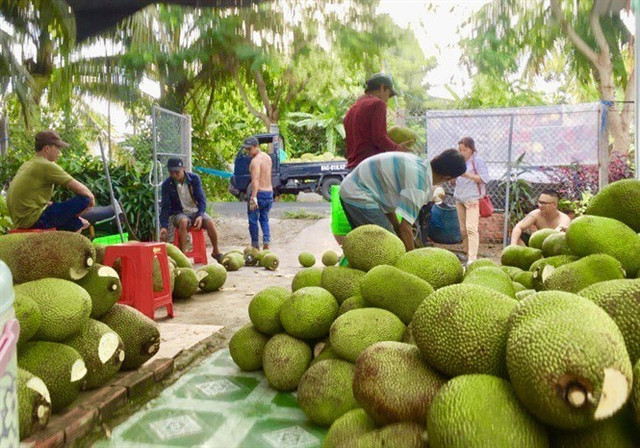 Sự thật hãi hùng đằng sau những cốc trà chanh, cá viên chiên là hóa chất rợn người - Hình 6 Su that hai hung dang sau nhung coc tra chanh, ca vien chien la hoa chat ron nguoi-Hinh-6