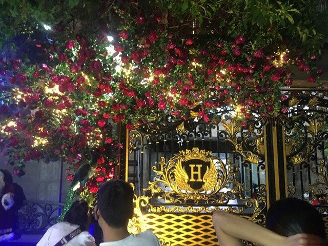 Đàm Vĩnh Hưng gây sửng sốt khi làm điều này - Hình 13 Dam Vinh Hung gay sung sot khi lam dieu nay-Hinh-13