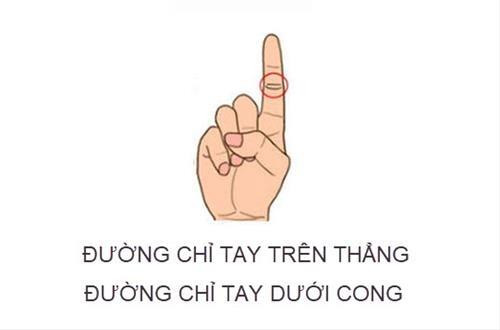 Đường chỉ tay ngón trỏ tiết lộ mệnh 'phượng hoàng hay bần nông'? - Hình 2 Duong chi tay ngon tro tiet lo menh 'phuong hoang hay ban nong'?-Hinh-2