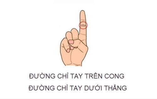 Đường chỉ tay ngón trỏ tiết lộ mệnh 'phượng hoàng hay bần nông'? - Hình 3 Duong chi tay ngon tro tiet lo menh 'phuong hoang hay ban nong'?-Hinh-3