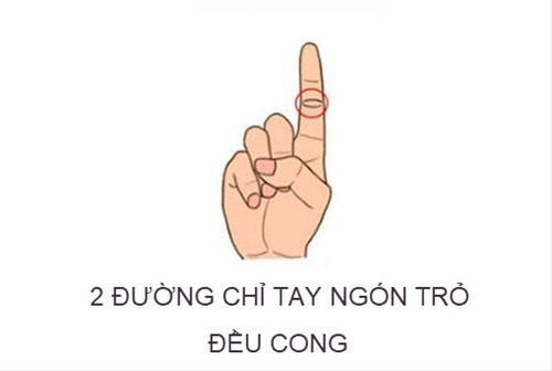 Đường chỉ tay ngón trỏ tiết lộ mệnh 'phượng hoàng hay bần nông'? Duong chi tay ngon tro tiet lo menh 'phuong hoang hay ban nong'?