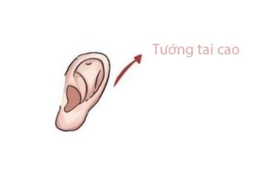 Đàn ông sở hữu tướng tai này, phúc sâu lộc dày, công danh xán lạn Dan ong so huu tuong tai nay, phuc sau loc day, cong danh xan lan
