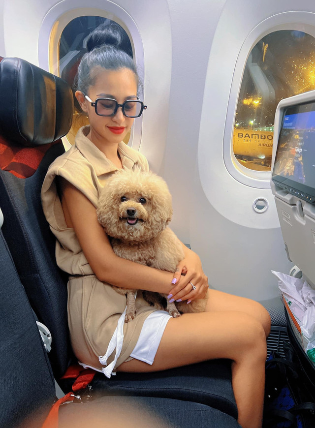 Cô gái 4 tháng 'chạy' thủ tục đưa cún cưng đi châu Âu Co gai 4 thang 'chay' thu tuc dua cun cung di chau Au