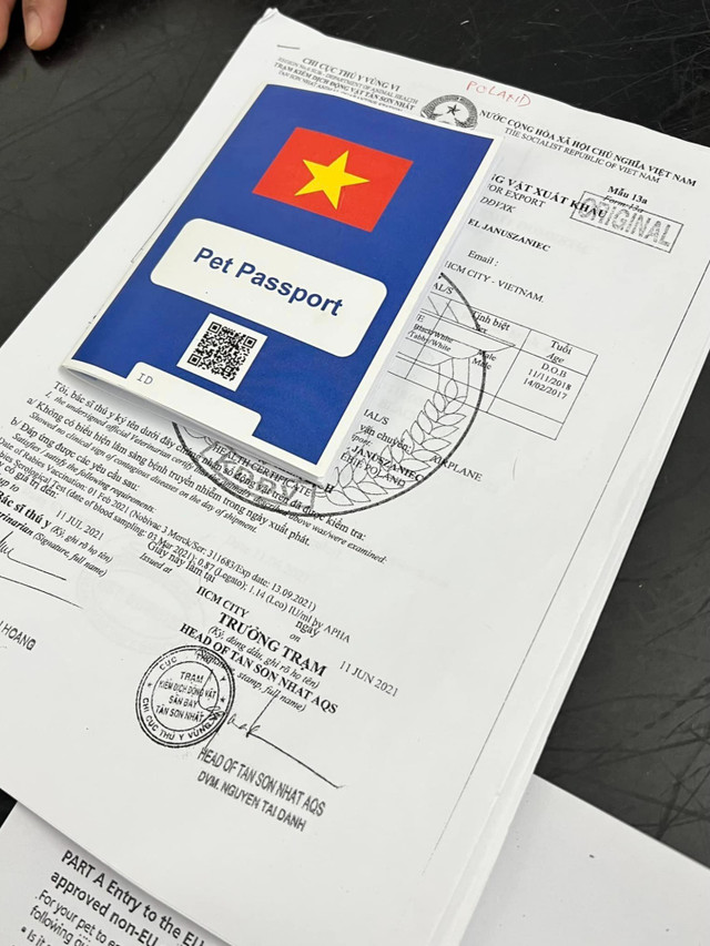 Cô gái 4 tháng 'chạy' thủ tục đưa cún cưng đi châu Âu - Hình 3 Co gai 4 thang 'chay' thu tuc dua cun cung di chau Au-Hinh-3