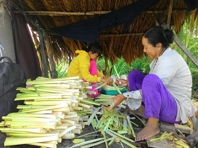 Cỏ dại mọc giờ đẻ ra tiền, đặc sản dân hái bán hốt bạc - Hình 4 Co dai moc gio de ra tien, dac san dan hai ban hot bac-Hinh-4