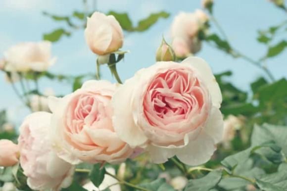 Ai sinh vào 3 tháng này sẽ được Thần Tài trợ giúp cả đời Ai sinh vao 3 thang nay se duoc Than Tai tro giup ca doi
