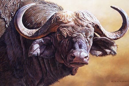 Top 3 con giáp vượt bể khổ, 40 tuổi đổi vận bất ngờ - Hình 3 Top 3 con giap vuot be kho, 40 tuoi doi van bat ngo-Hinh-3
