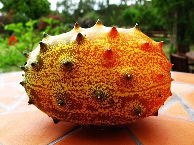 Thắp hương tránh đặt 6 loại quả lên bàn thờ - Hình 3 Thap huong tranh dat 6 loai qua len ban tho-Hinh-3