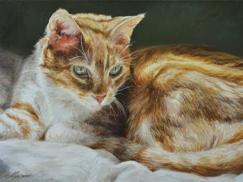 Bước sang tháng 11 âm lịch, top 3 con giáp vạn sự hanh thông - Hình 3 Buoc sang thang 11 am lich, top 3 con giap van su hanh thong-Hinh-3