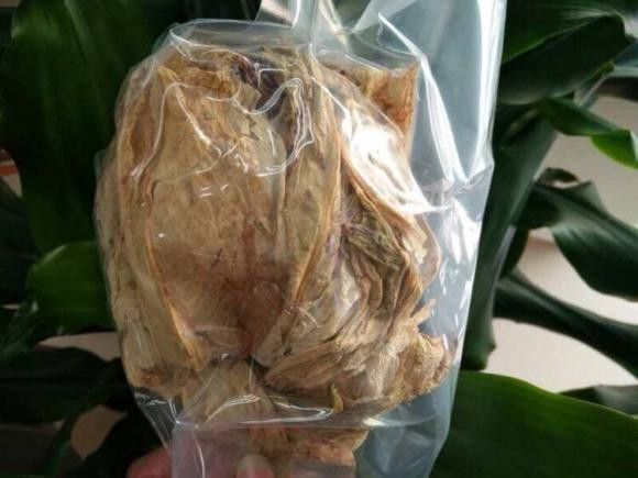 Loại cây phổ biến ở thôn quê, giá đắt như vàng - Hình 4 Loai cay pho bien o thon que, gia dat nhu vang-Hinh-4