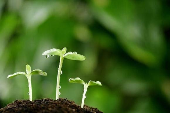 Thứ mà bạn không thể mua được cho dù bạn có giàu đến đâu - Hình 2 Thu ma ban khong the mua duoc cho du ban co giau den dau-Hinh-2