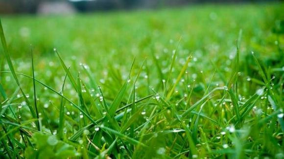 Thứ mà bạn không thể mua được cho dù bạn có giàu đến đâu Thu ma ban khong the mua duoc cho du ban co giau den dau