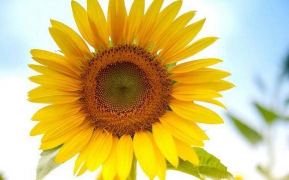 Những người sinh ngày này, chào đời đã có "chìa khóa vàng" may mắn - Hình 2 Nhung nguoi sinh ngay nay, chao doi da co