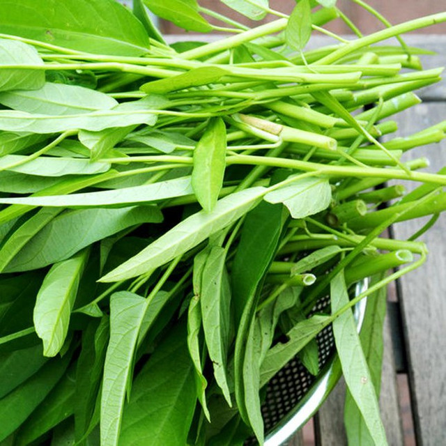 Những đại kỵ nguy hiểm khi ăn rau muống cần bỏ ngay - Hình 4 Nhung dai ky nguy hiem khi an rau muong can bo ngay-Hinh-4