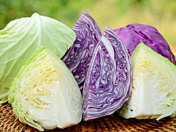 7 nhóm người này được khuyến cáo không nên ăn bắp cải 7 nhom nguoi nay duoc khuyen cao khong nen an bap cai