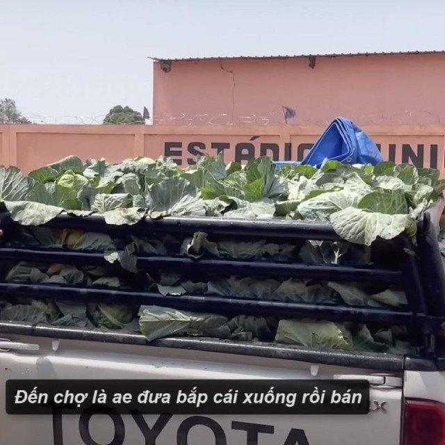Quang Linh Vlog kinh doanh mát tay, thu lợi từ trang trại - Hình 2 Quang Linh Vlog kinh doanh mat tay, thu loi tu trang trai-Hinh-2