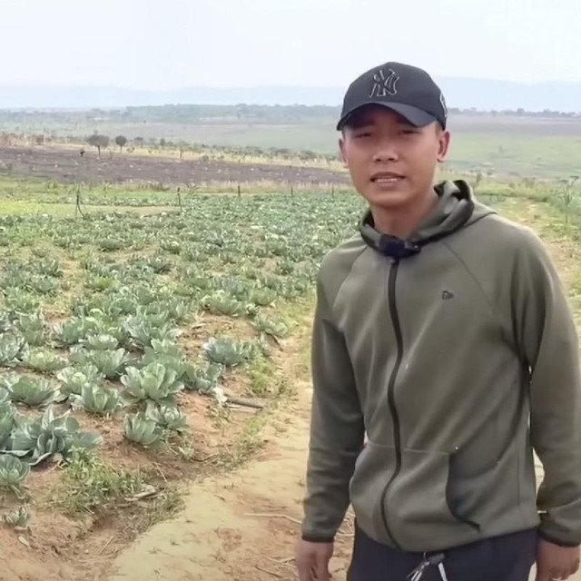 Quang Linh Vlog kinh doanh mát tay, thu lợi từ trang trại Quang Linh Vlog kinh doanh mat tay, thu loi tu trang trai
