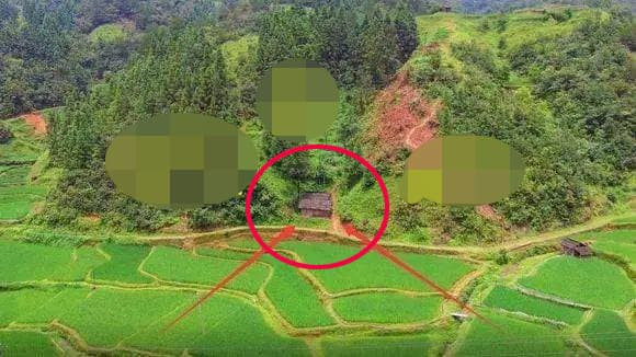 Tại sao luôn tìm thấy rắn trong các ngôi mộ? - Hình 6 Tai sao luon tim thay ran trong cac ngoi mo?-Hinh-6