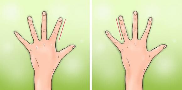 Nhìn hình dáng khuôn mặt tiên đoán được người "sinh ra để làm lãnh đạo" - Hình 5 Nhin hinh dang khuon mat tien doan duoc nguoi