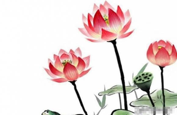 Những người sinh vào 7 ngày này khó thoát khỏi kiếp giàu sang - Hình 2 Nhung nguoi sinh vao 7 ngay nay kho thoat khoi kiep giau sang-Hinh-2