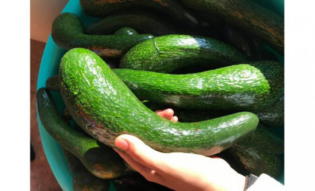 Nhóm người nên tránh ăn bơ kẻo rước họa vào thân - Hình 2 Nhom nguoi nen tranh an bo keo ruoc hoa vao than-Hinh-2