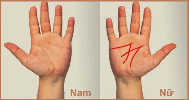 Chỉ 1% người trên thế giới có đường chỉ tay đắc tài lộc Chi 1% nguoi tren the gioi co duong chi tay dac tai loc