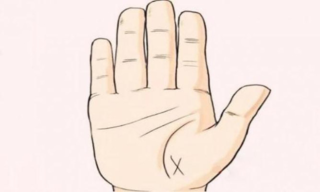 Chỉ 1% người trên thế giới có đường chỉ tay đắc tài lộc - Hình 5 Chi 1% nguoi tren the gioi co duong chi tay dac tai loc-Hinh-5