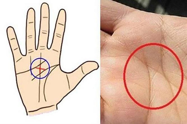 Chỉ 1% người có đường chỉ tay đắc tài lộc, vượng phú quý này - Hình 4 Chi 1% nguoi co duong chi tay dac tai loc, vuong phu quy nay-Hinh-4