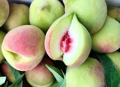 "Đại kỵ" khi ăn đào, cần tránh kẻo rước bệnh vào thân - Hình 2 "Đại kỵ" khi ăn đào, cần tránh kẻo rước bệnh vào thân ảnh 2