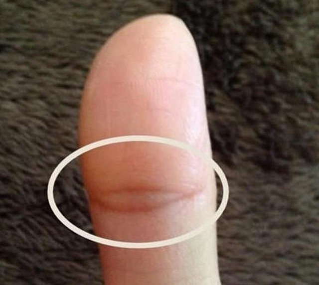 Tướng bàn tay khổ trước sướng sau, hậu vận an nhàn, giàu sang phú quý - Hình 2 Tuong ban tay kho truoc suong sau, hau van an nhan, giau sang phu quy-Hinh-2