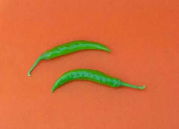 Những lợi ích tuyệt vời mà ớt xanh mang lại - Hình 4 Nhung loi ich tuyet voi ma ot xanh mang lai-Hinh-4