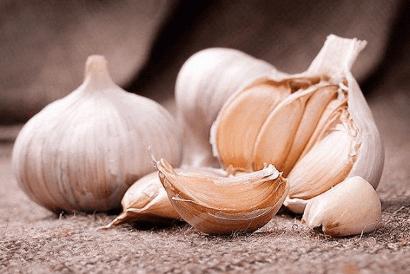 Người Đức sống lâu, lý do là 5 thói quen đáng để học này - Hình 3 Nguoi Duc song lau, ly do la 5 thoi quen dang de hoc nay-Hinh-3