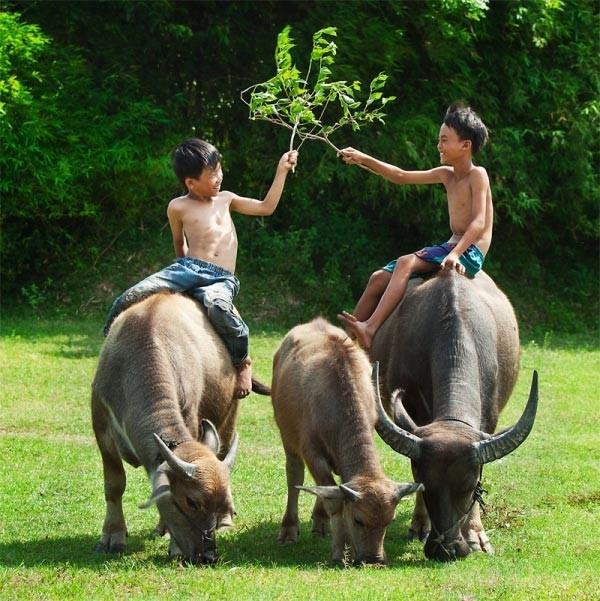 Chuông vàng tháng 10 điểm tên: 3 tuổi hái tiền, 1 tuổi lao đao - Hình 3 Chuong vang thang 10 diem ten: 3 tuoi hai tien, 1 tuoi lao dao-Hinh-3