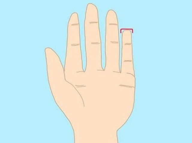 Đoán giàu sang bần hàn chỉ qua ngón tay út - Hình 2 Doan giau sang ban han chi qua ngon tay ut-Hinh-2
