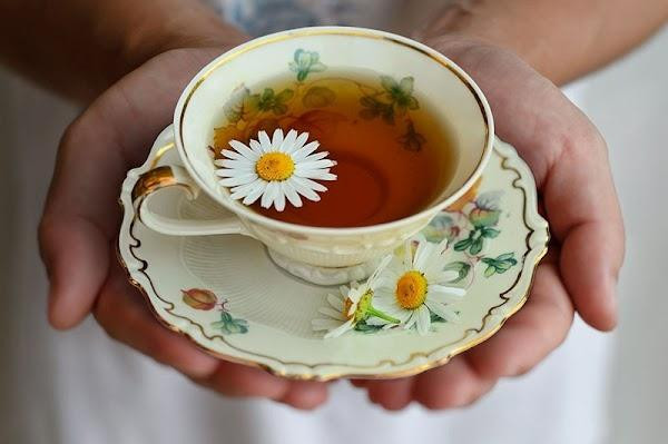 Trò thâm hiểm của con dâu sau cốc trà hoa cúc biếu bố mẹ chồng - Hình 2 Tro tham hiem cua con dau sau coc tra hoa cuc bieu bo me chong-Hinh-2