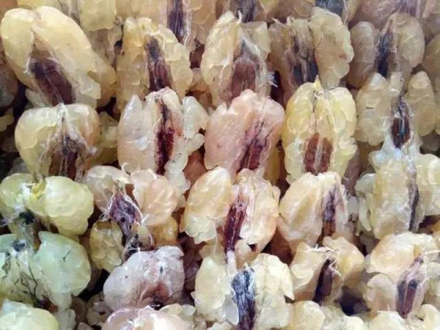 Món ăn ghê rợn là bí quyết dưỡng nhan cho Hoàng đế - Hình 3 Mon an ghe ron la bi quyet duong nhan cho Hoang de-Hinh-3