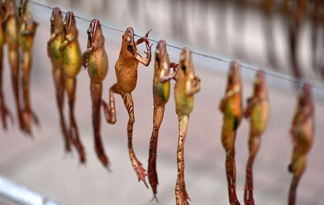 Món ăn ghê rợn là bí quyết dưỡng nhan cho Hoàng đế Mon an ghe ron la bi quyet duong nhan cho Hoang de
