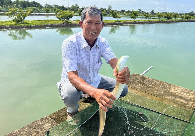 Cả tỉnh chưa ai dám thử, liều chơi lớn thu lãi tiền tỷ - Hình 3 Ca tinh chua ai dam thu, lieu choi lon thu lai tien ty-Hinh-3