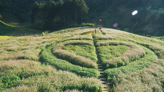 Gặp "nam thần thổ địa Mộc Châu" nghe chuyện du lịch qua ảnh - Hình 5 Gap