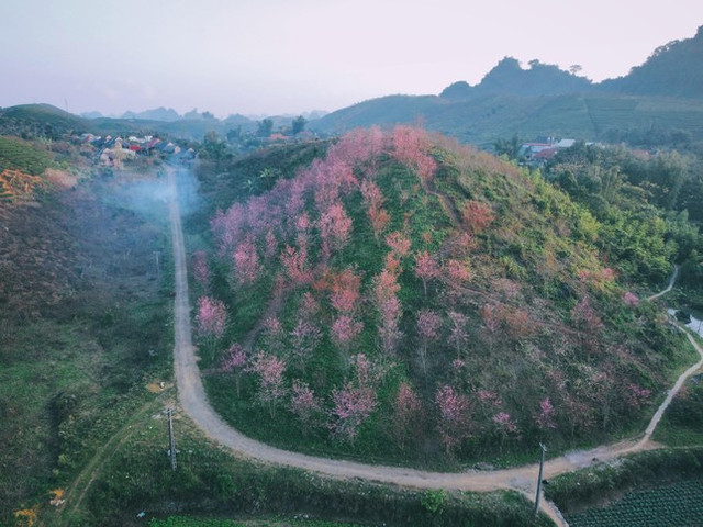 Gặp "nam thần thổ địa Mộc Châu" nghe chuyện du lịch qua ảnh - Hình 7 Gap