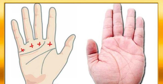 Nhìn dáng bàn tay phụ nữ, biết ngay số mệnh tài ba, hậu vận sung sướng - Hình 2 Nhin dang ban tay phu nu, biet ngay so menh tai ba, hau van sung suong-Hinh-2
