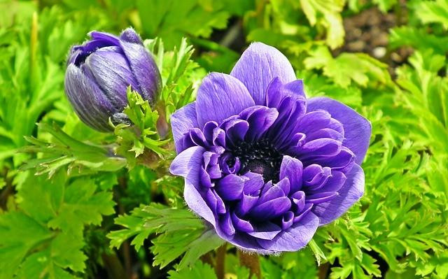Sinh vào 5 ngày Âm lịch này, cuối năm ngân khố tràn đầy - Hình 4 Sinh vao 5 ngay Am lich nay, cuoi nam ngan kho tran day-Hinh-4