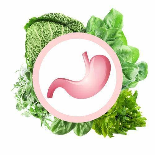 Bất ngờ loạt thực phẩm là “viên bổ dưỡng dạ dày tự nhiên” Bat ngo loat thuc pham la “vien bo duong da day tu nhien”