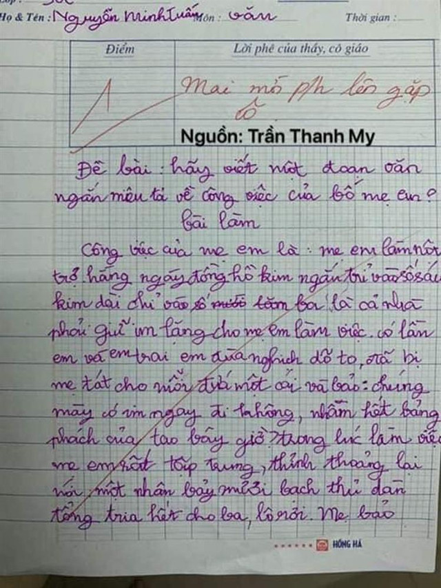 Nhóc lớp 2 tả tình yêu ông bà nội, câu chốt choáng váng - Hình 2 Nhoc lop 2 ta tinh yeu ong ba noi, cau chot choang vang-Hinh-2