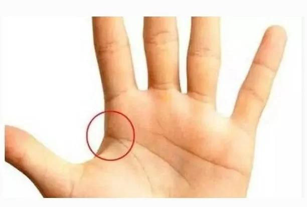 5 nét tướng tay của người có số phát tài, giàu có cả đời 5 net tuong tay cua nguoi co so phat tai, giau co ca doi